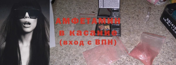 шишки Алзамай